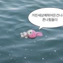 엠에프 이미지