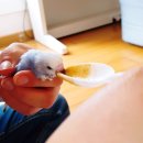 제니패션 신대방점(에버뷰티제니) 이미지