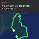 양지암등대길 | 공일생 55 ㅣ이게 가을이야?ㅣ거제 남파랑길 20코스