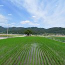 야로경로당 이미지