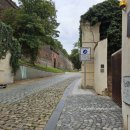 파머스하우스 | 체코 프라하 파머스마켓 비셰흐라드 댄싱하우스 전망대 솔직 후기