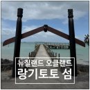 새하늘 NEW SKY | 뉴질랜드 오클랜드 랑기토토 섬 트레킹 후기 feat. 페리 티켓