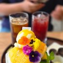 엘포스트레