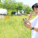 한선미디어