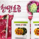 몸사랑건강원