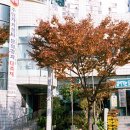 동삼3동-1 이미지