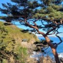 신평1리마을회관 이미지