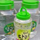 초담 이미지