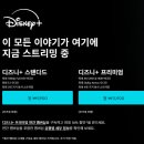 보플러스 이미지