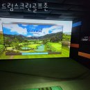 드림스크린골프존 이미지