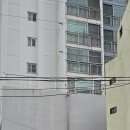 리투퍼운동센터 | 동래 리호재활운동센터 체험 후기