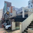 2014117 | 나 홀로 봄 제주도 뚜벅이 당일치기 여행 ✈