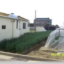 조동마을회관 이미지