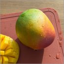 서브힐링 | 서브마켓 애플망고 첫 구매 후기, 달콤함에 눈이 번쩍!