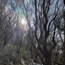 (주)오름정보기술 | 25년 12월 첫 주 노꼬메오름 주차정보 후기