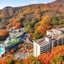 포레스트 리솜 이미지