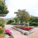 부산시민체육공원 이미지