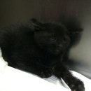 공덕119안전센터 이미지