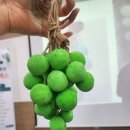 친환경 비누 공예 | [충북/충주]충주박물관 원데이클래스 - 비누공예 친환경 샴푸바 만들기 후기