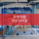 굿타임별관 | 푸켓여행::아이와 함께 가면 좋은 푸켓여행지 아쿠아리움