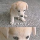 없음 이미지