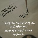 감성을 쓰다 캘리그라퍼 이미지