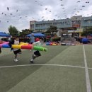 단양유치원