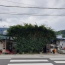 천일수퍼 이미지