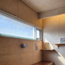 나무향기 이미지