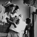 새독일약국 이미지