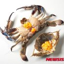 108.롯데마트_4 이미지