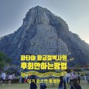 대승카 | 파타야 가볼만한곳? 황금절벽사원 솔직 후기! 코끼리 트래킹 여행 코스