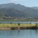 붕어섬축구장 이미지