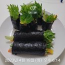 김밥에도 새싹이 텄습니다 이미지