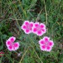 토월약수터 이미지