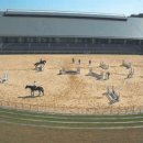 실내승마장(관람석) 이미지