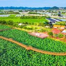 덕신고등학교(국화리224-4) | “몽골군도 못 뚫은 강화 요새” 800년 고요 속에 잠든 고려 고종 ‘홍릉’