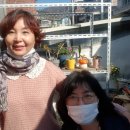 주용농장 이미지