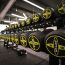 와일드짐 이미지