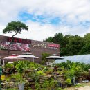 우리한우식당 이미지