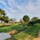 영신숲길3 이미지