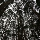 쌍향수길 이미지