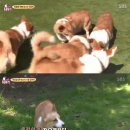 신미래농장 이미지