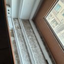 신세대 | 새집처럼 만들어주는 입주청소 신세대클린 내돈내산후기