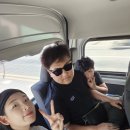 임투어 | 푸켓 시티투어 ✨️ 호랑이 코끼리 먹이주기 아이랑 직접 가본 후기