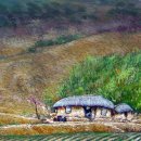 순이네집 이미지