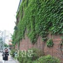 서울시, 1천 세대 이상 공동주택 벽면녹화 의무화 이미지