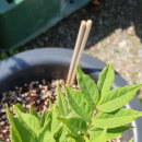 (주)퍼스트팜 이미지