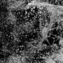 울산시립미술관 이미지