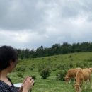 천지목장(2) 이미지